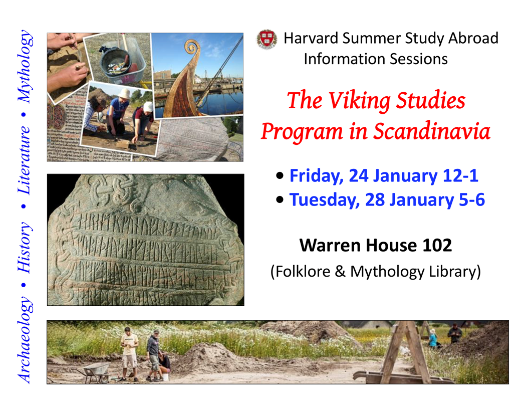 viking studies