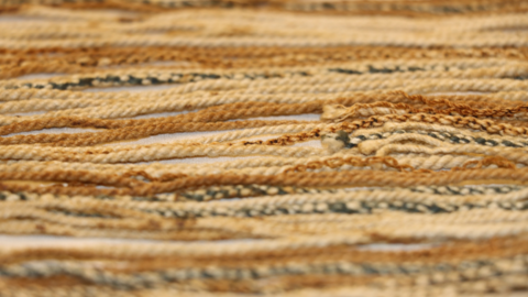 Cords on khipu 32-30-30/53 in the Harvard Peabody Museum of Archaeology and Ethnology (photo by Mackinley FitzPatrick).