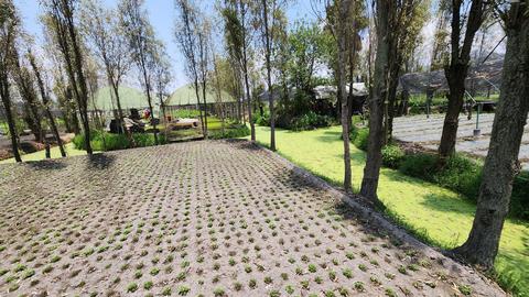 Chinampas