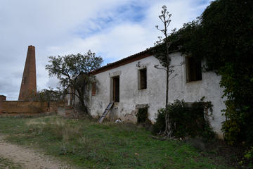 pic2