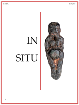 In Situ Cover
